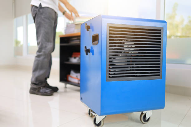 Professional Mold Removal in Wichita Falls, TX
