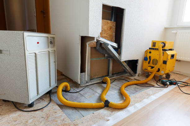 Best Mold Prevention Services  in Wichita Falls, TX
