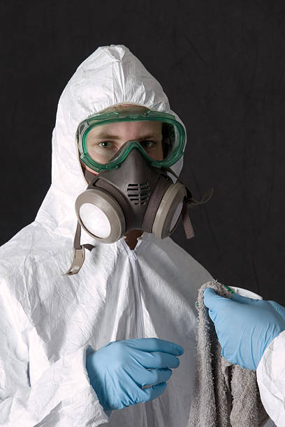 Best Mold Documentation for Insurance Claims  in Wichita Falls, TX